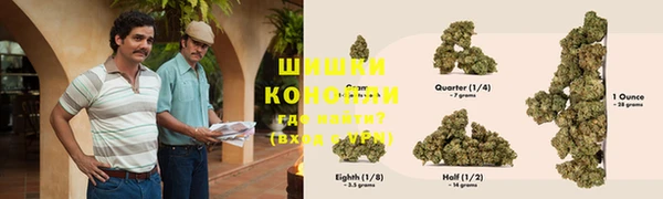 PSILOCYBIN Алексин