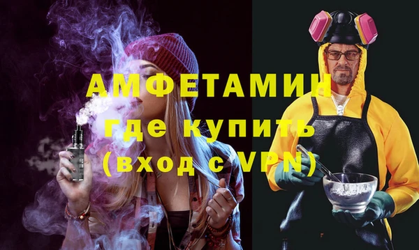шишки Новодвинск